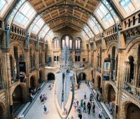 Museo de Historia Natural de Londres